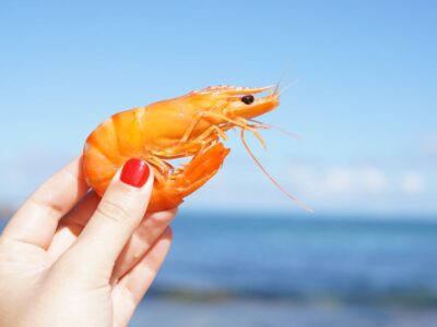 Serce w głowie? Tak mają krewetki. To ciekawe zwierzęta!